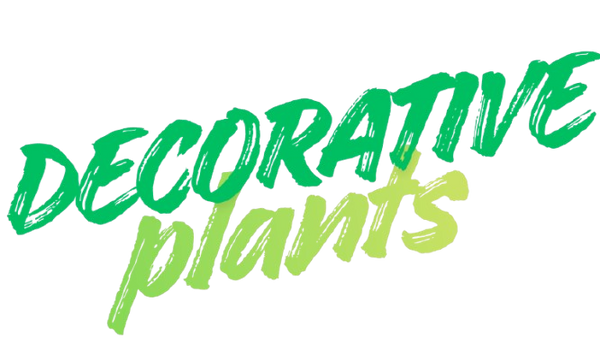 Decorative Plants